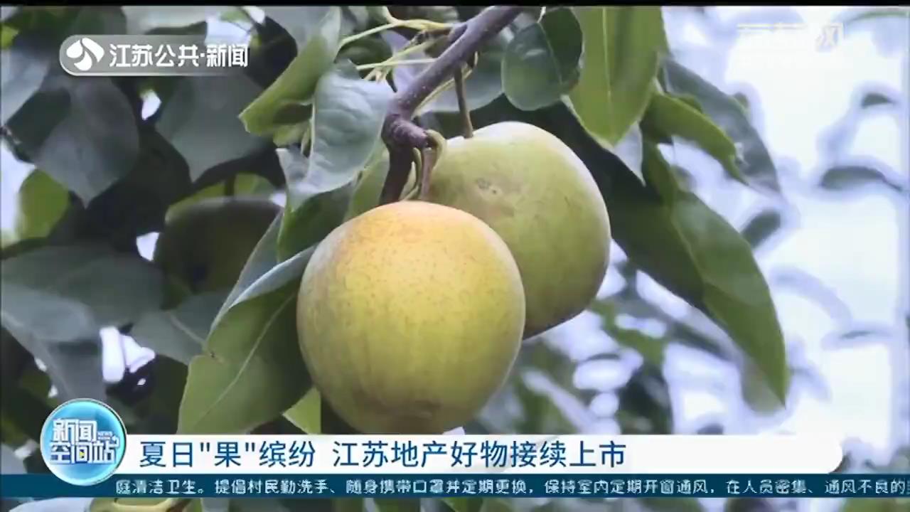 夏日“果”缤纷 江苏地产好物接续上市