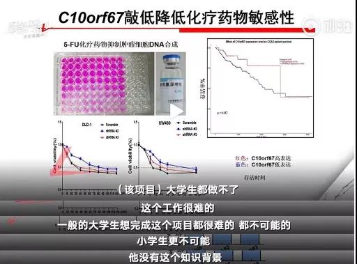 16岁日作诗2000首，小学研究癌症获奖，“神童”
