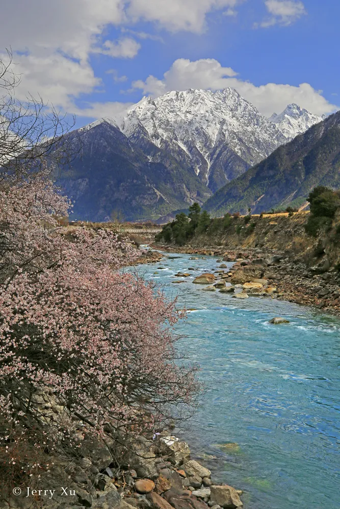 Jerry带团的野去林芝桃花节第四团凯旋，大片连连