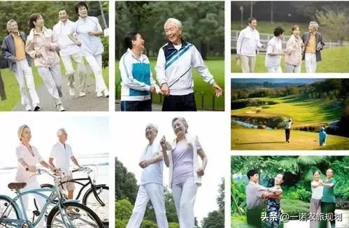 案例：乡村振兴项目政策和补贴