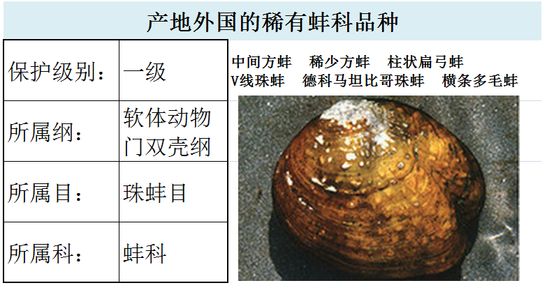 国家最新水生野生保护动物名录（共计三百余种），第2期