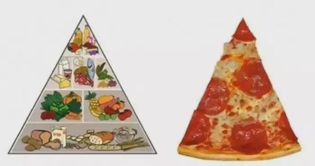 瘦子的飲食結構 VS 胖子的飲食結構