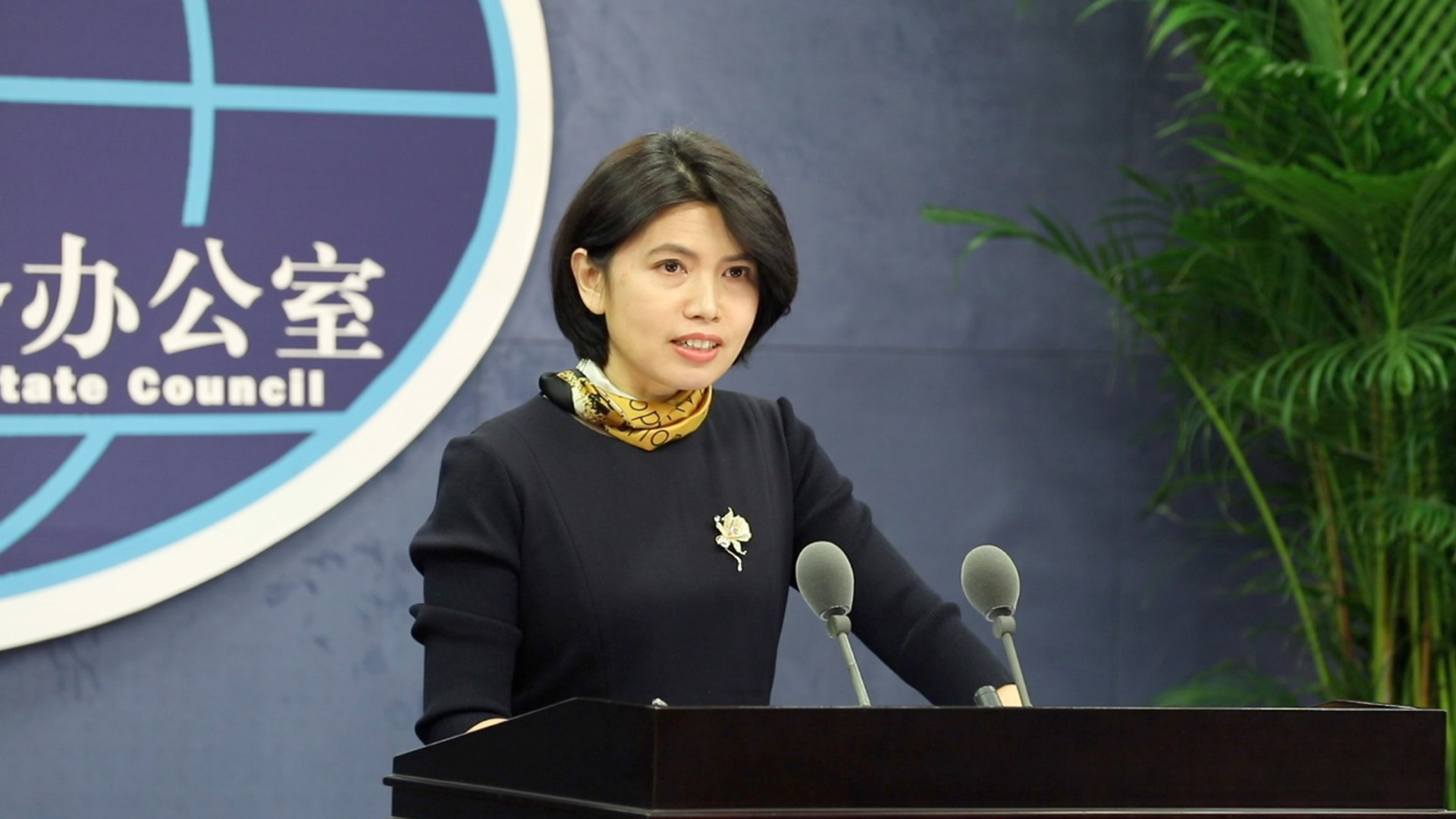 從客家小妹到女發言人，怒懟台獨維護祖國，朱鳳蓮的傳奇人生