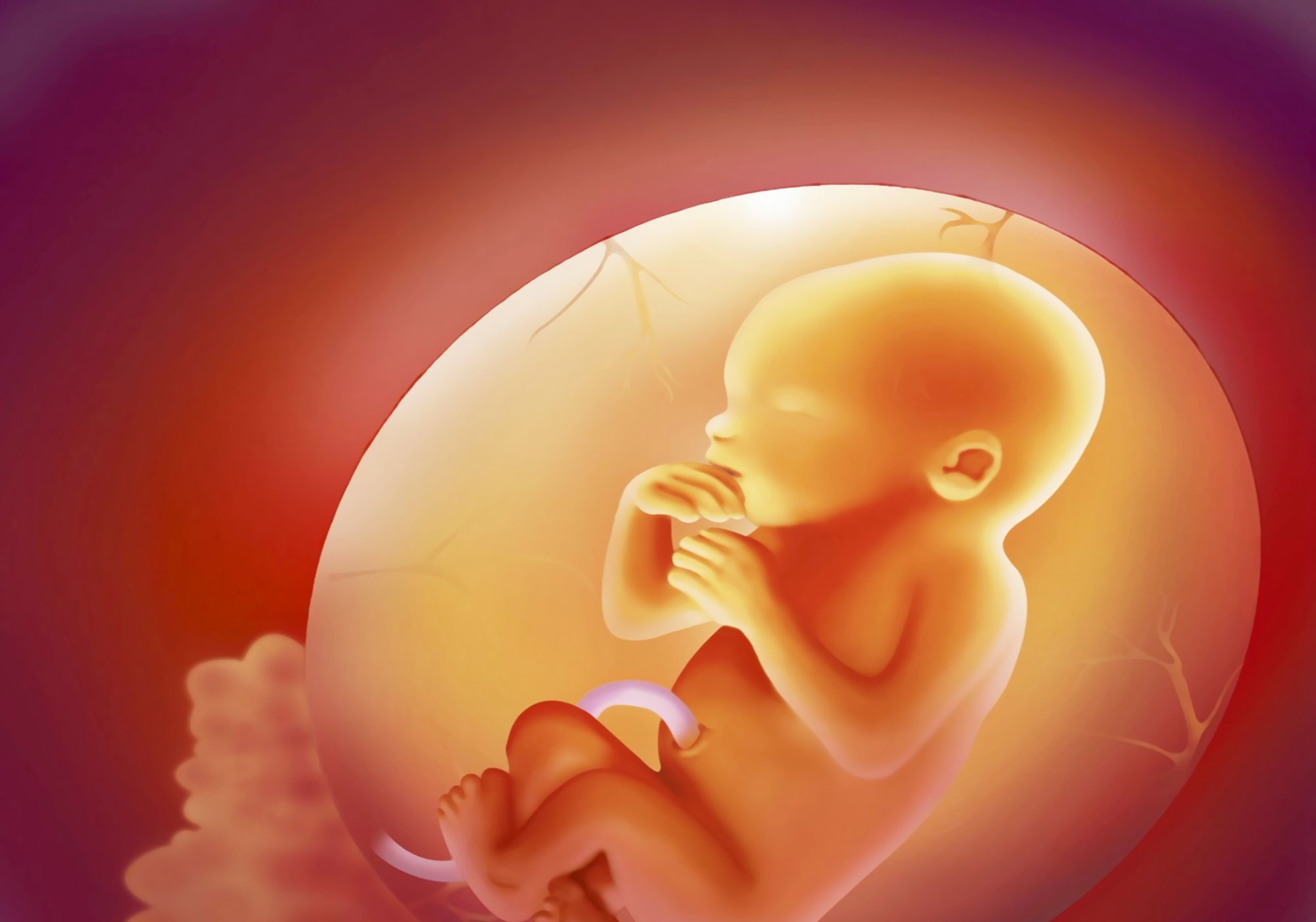 有種感動叫胎兒保護媽媽，懷孕後胎兒做的暖心事，可別不知道