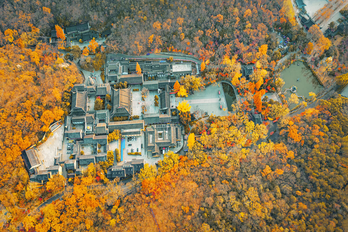南京的秋天，美成了金陵该有的样子，谁能不爱？插图54