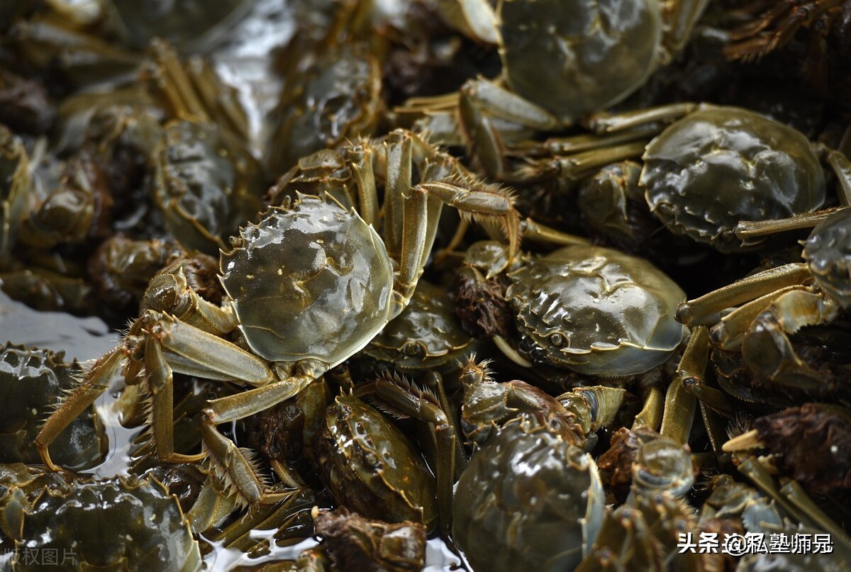 Steam crabs in a pot under cold water or hot water?How long does it