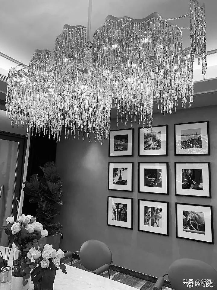 Rectify a face to die to leave in 25 years old however on the Lin Shanshan that protects Shi Jie, 