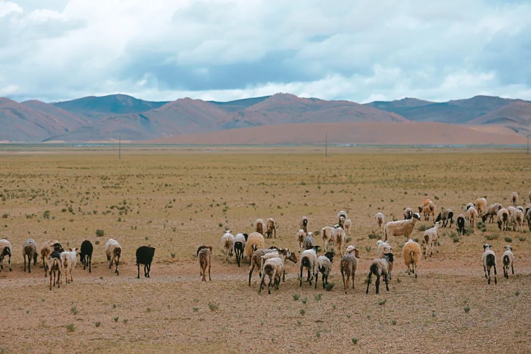 Qilin Gorge, Tibet's lowest-key Grand Canyon!  Comparable to Anjihai, Xinjiang