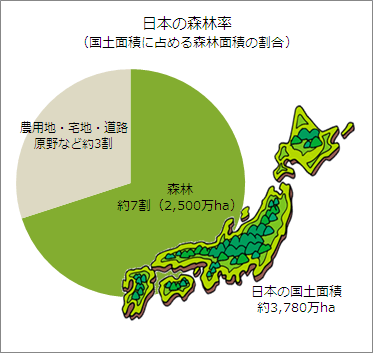 日本松茸濒临灭绝，只因森林太茂盛？