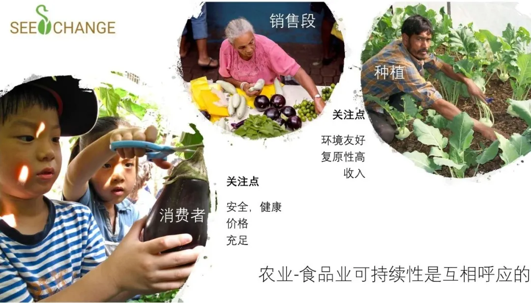 “可持续农业——社会企业金融工作坊”完美落幕