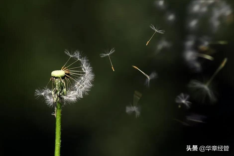 真正情商高的人，都明白这4点