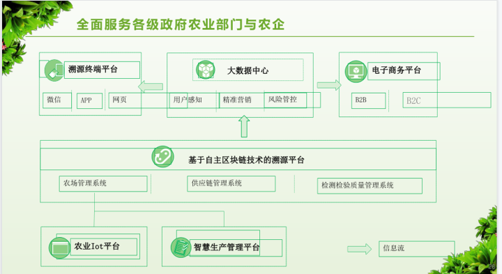 数字乡村治理体系信息化建设方案，附下载