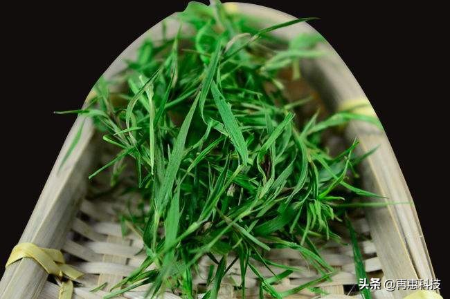 茶文化：流淌在中国人骨子里的文化