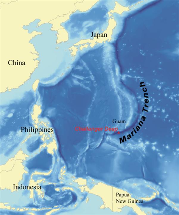 深海100000米以下生物，海底10000米是什么概念？图片