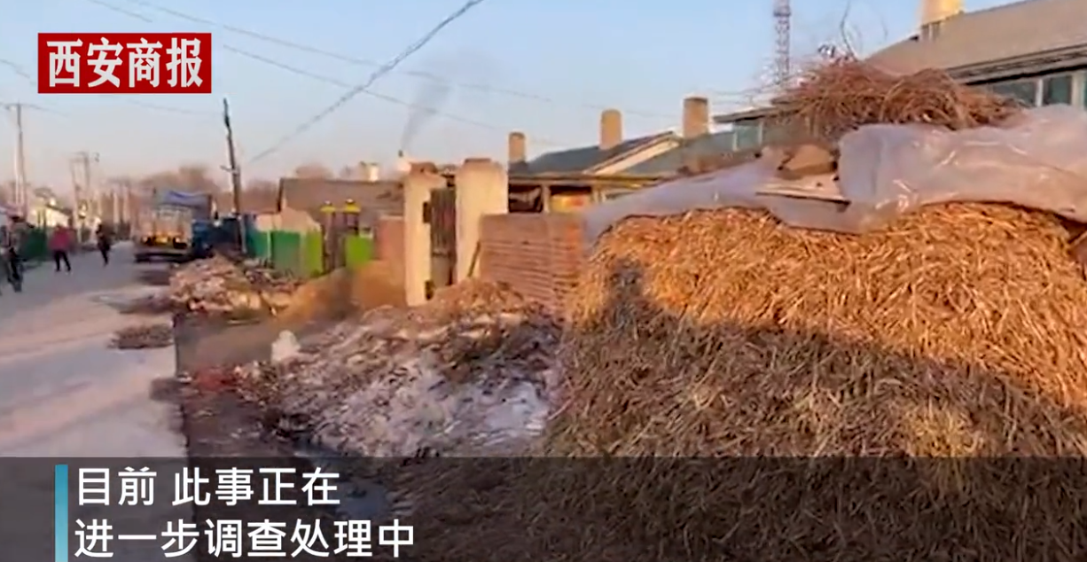 巴彦弑母女孩当地村民讲述：被捅后活了10多分钟