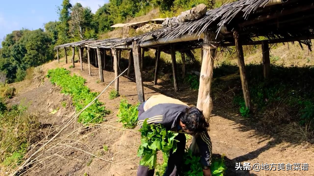 尼泊尔山区年轻妈妈用煎鸡蛋招待我，她曾经在中餐厅打过工