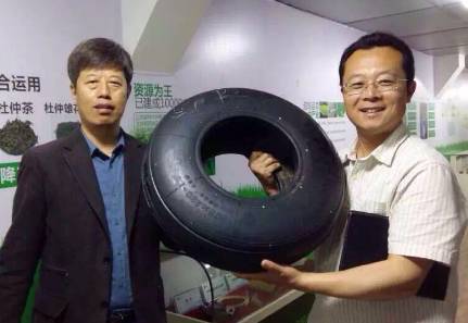 杜仲胶的作用与功效，惊喜不止一点点