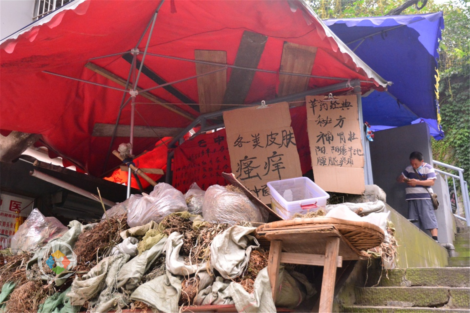 重庆的粽子有多独特？咸甜皆可，白粽子蘸糖吃，腊肉粽子最奢华