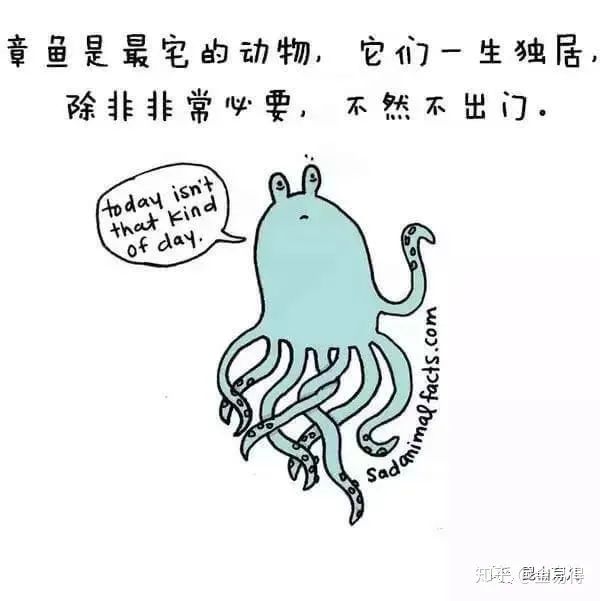 30個(ge) 有趣的科普小星空体育官网入口网站，你知道幾個(ge) ?