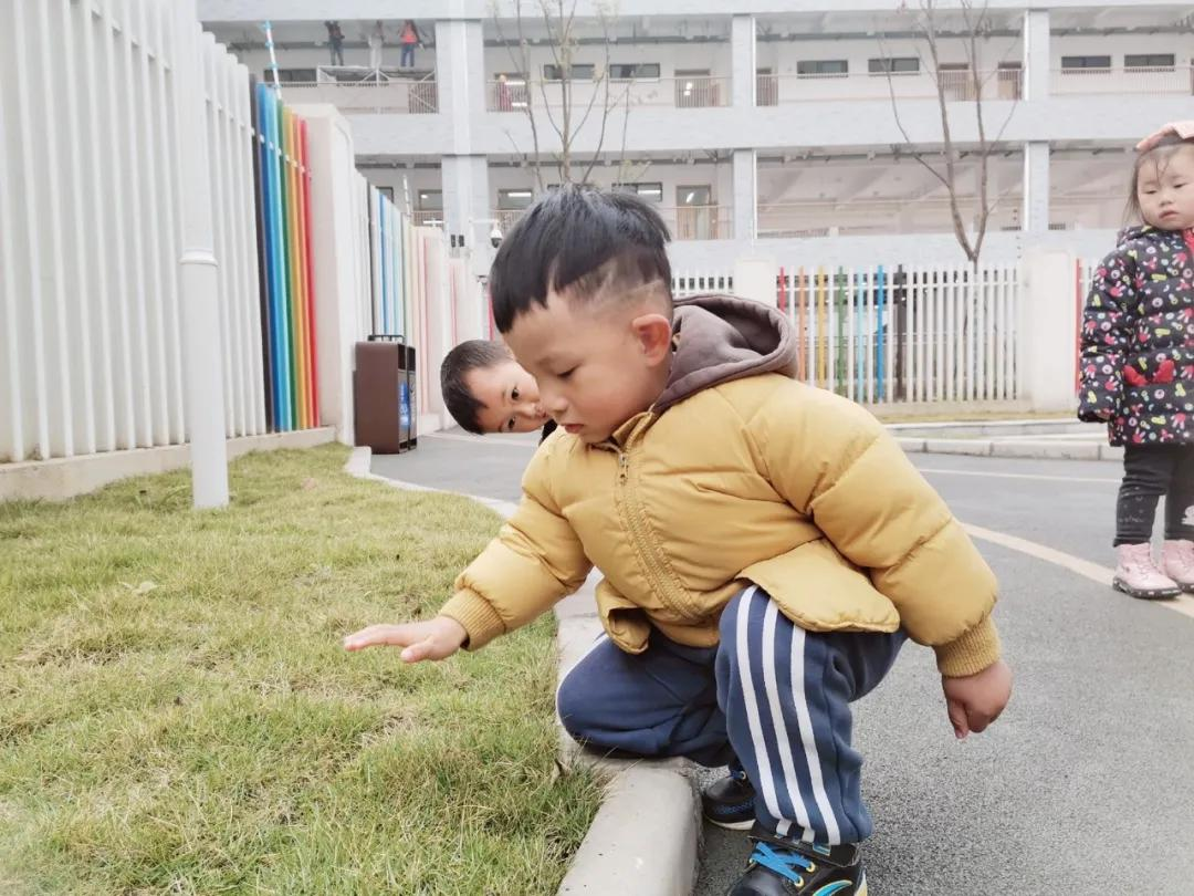 天府新区元音幼儿园丨耳朵的秘密