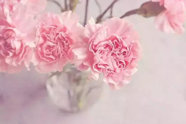 生活其实很好，就差给自己一个微笑