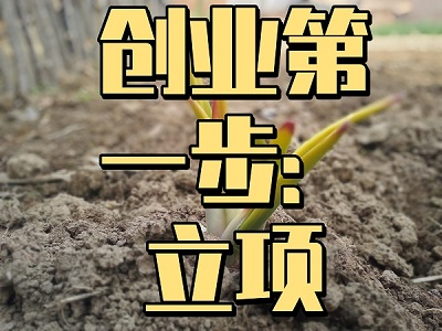 想创业的看过来