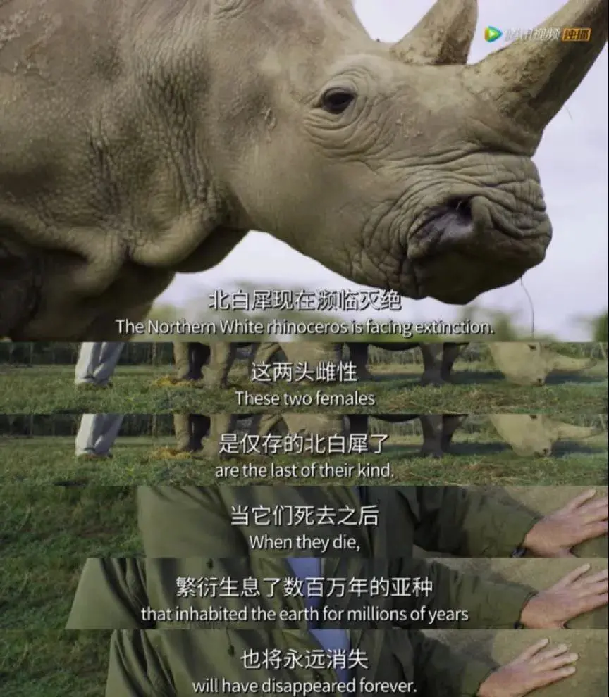 16部超赞自然纪录片,让孩子足不出户看到地球的“真实面目”!