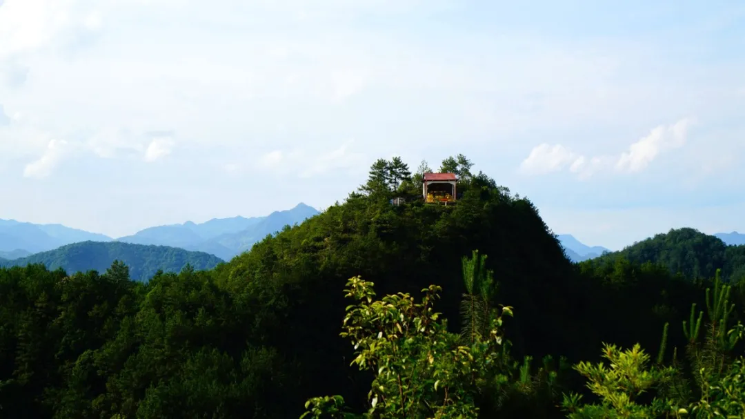 美丽的传说姑田万峰岩石观音