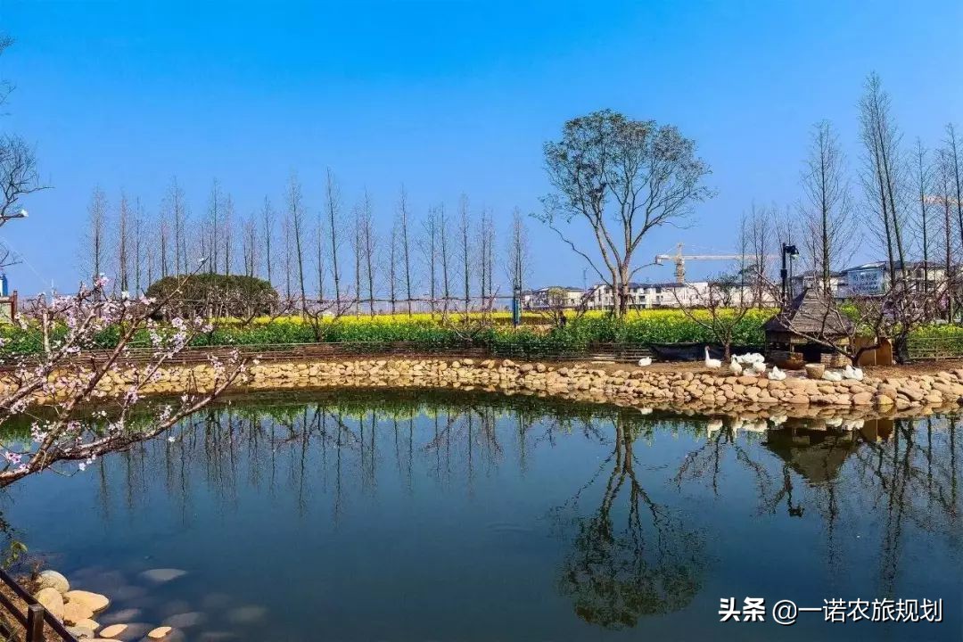 田园景观设计应注重些什么？