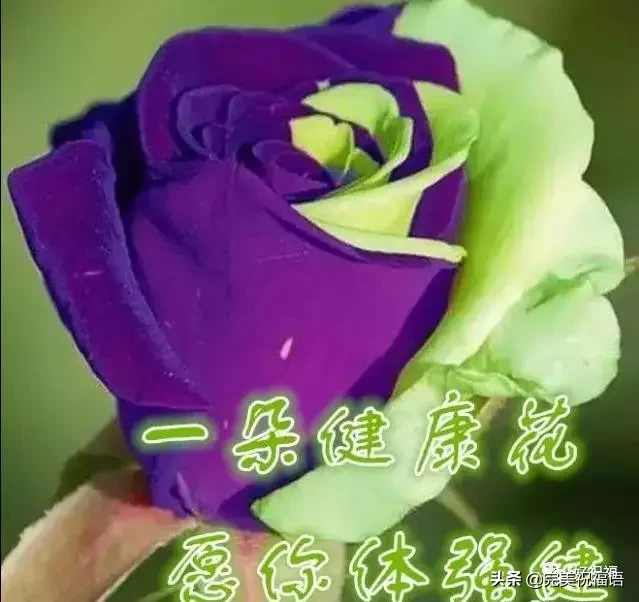 不管|初二早上好不管你身在何方 收到这份祝福你就是最有福的