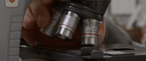 这部全是神反转奇案的解剖纪录片，堪称法医入坑神作