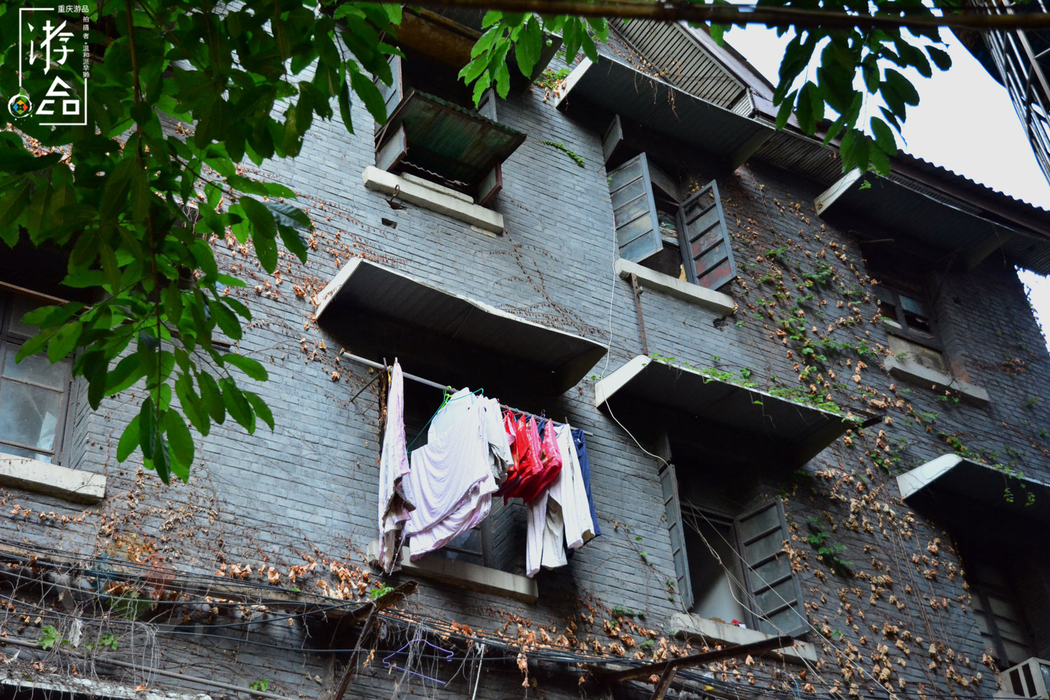 在重庆大溪沟探险：误入电力公司老社区，意外发现江边的聚金花市