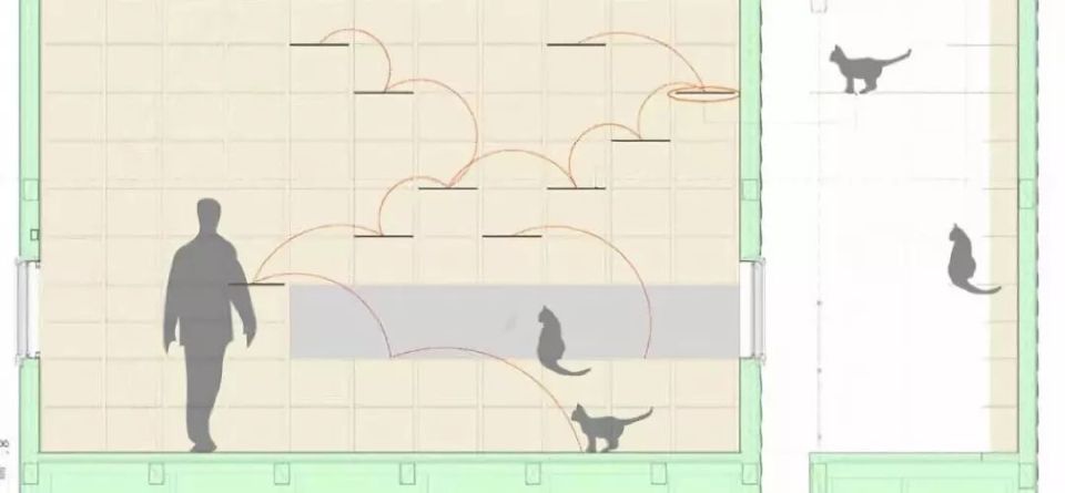 养宠家庭的“装修秘笈”┃ 东方一木科普