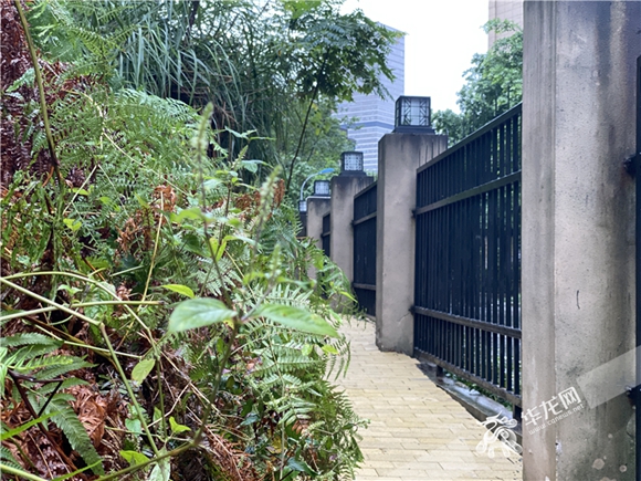 9月23日·重庆要闻及抗击肺炎快报