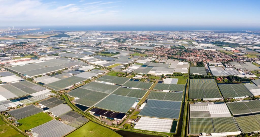 荷兰模式玻璃温室大棚主体结构造价有多高、荷兰温室造价
