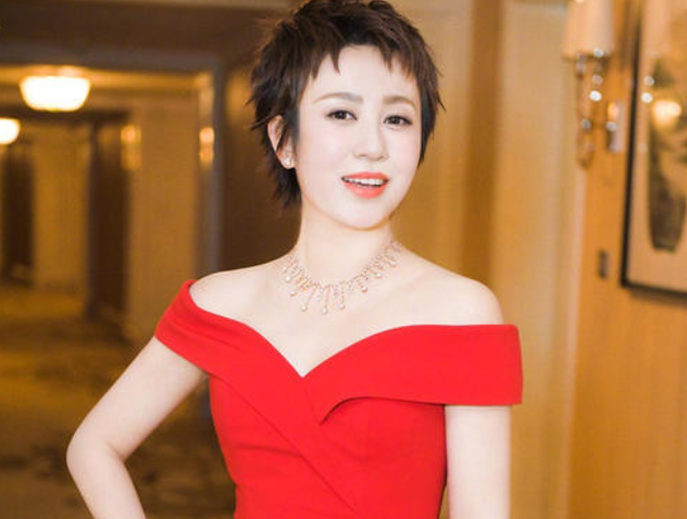 毕业于清华北大的明星，撒贝宁张鲁一不出所料