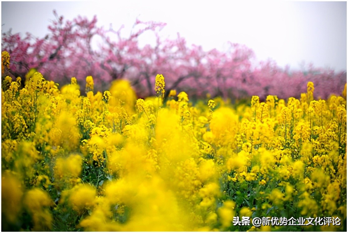 活动|三八妇女节创意活动方案 创意主题和活动都给你想好了