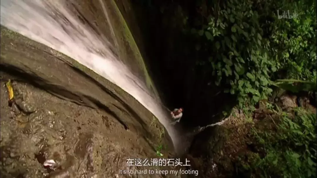 鸡肉味嘎巴脆!盘点《荒野求生》与贝爷的那些梗~