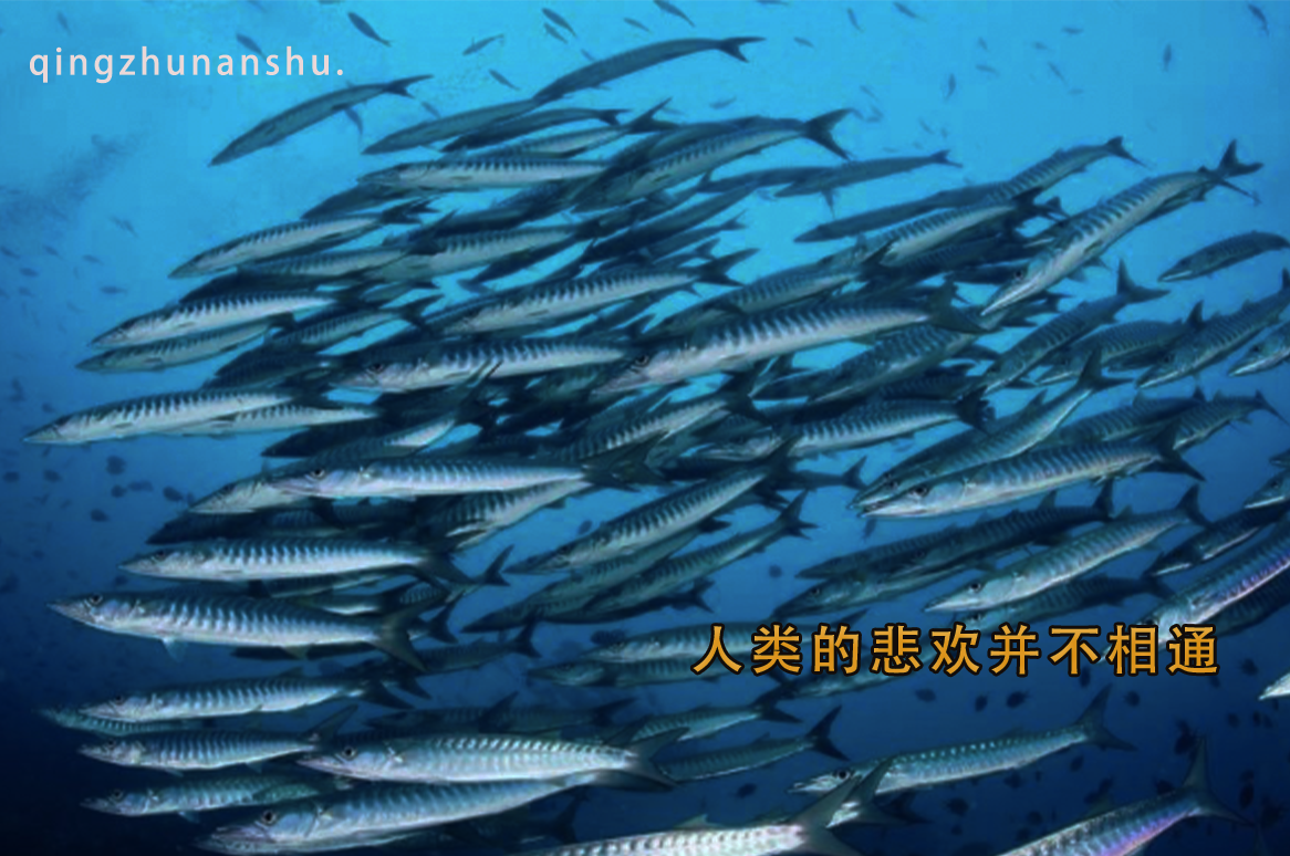 这不能说是一篇文章（一）