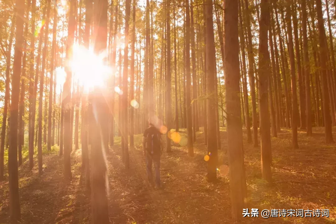 十首冬日诗词-第1张图片-诗句网