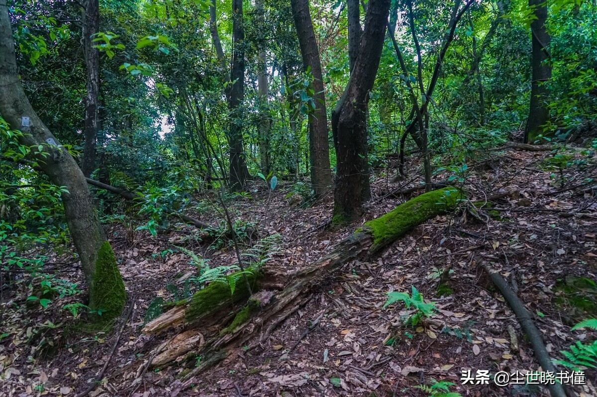 戴复古的诗清新自然，这首经典的七绝，犹如一幅淡淡的山水画卷-第3张图片-非凡网
