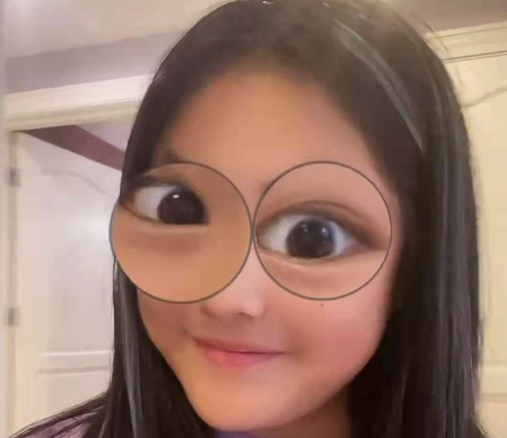 11岁王诗龄近照太美！挑染灰发气质成熟，戴定制款手链豪宅内玩狗