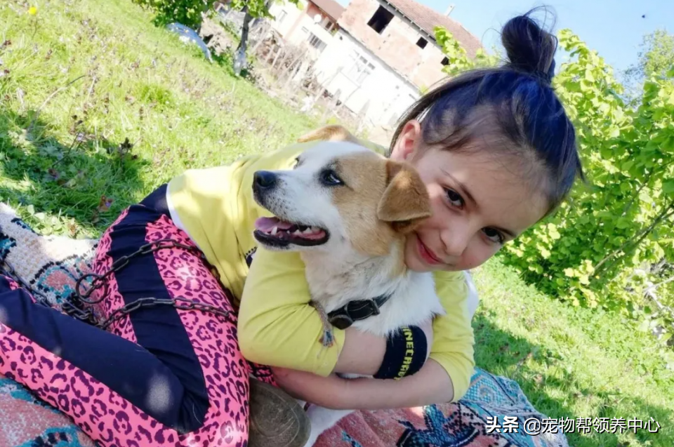 8岁小女孩背爱犬在雪地走3公里只为找一个特别的