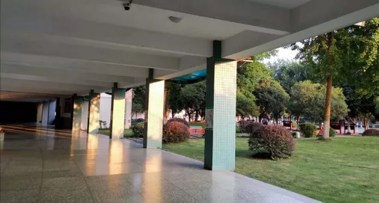 “乘风破浪”的武侯实验，让每一颗优质的种子，骄傲起来