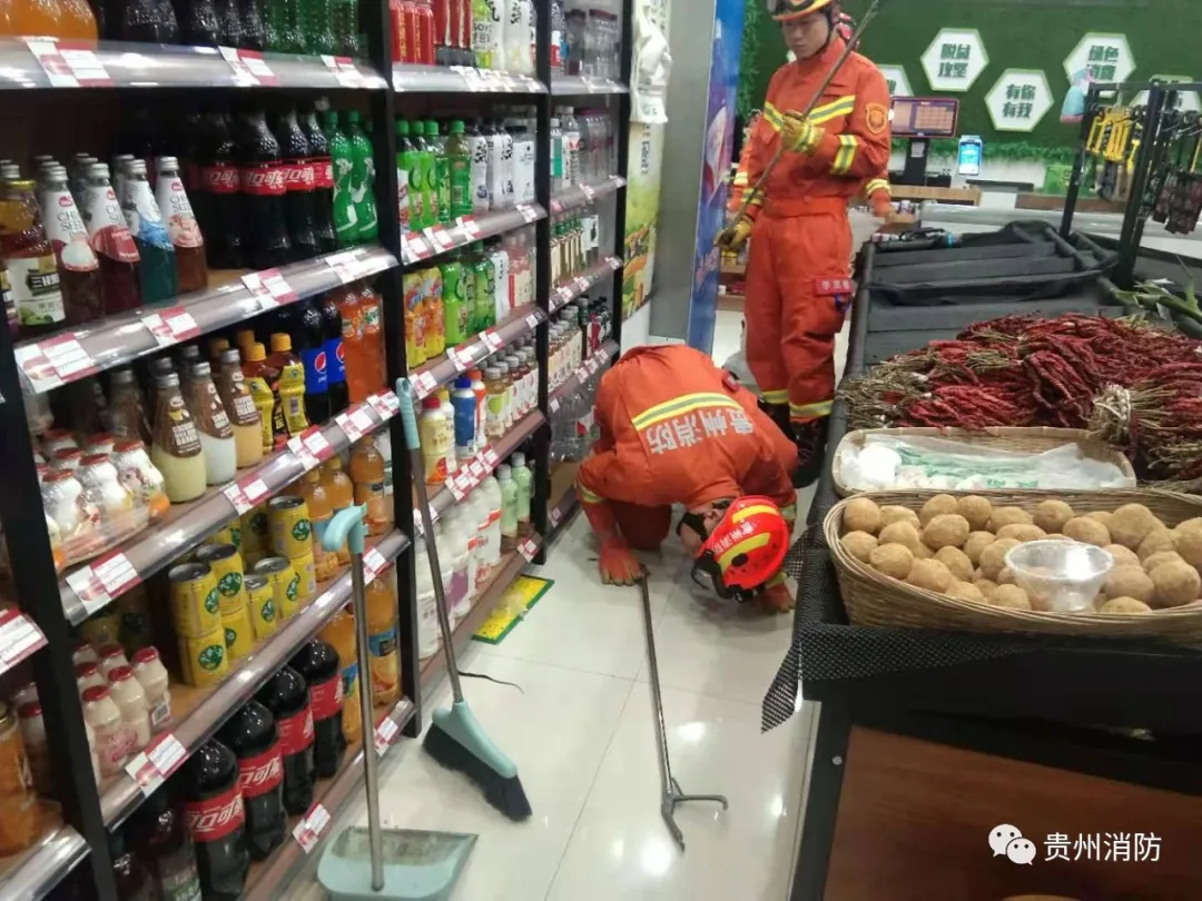 贵阳市中心,蛇出没!医院、超市都不放过