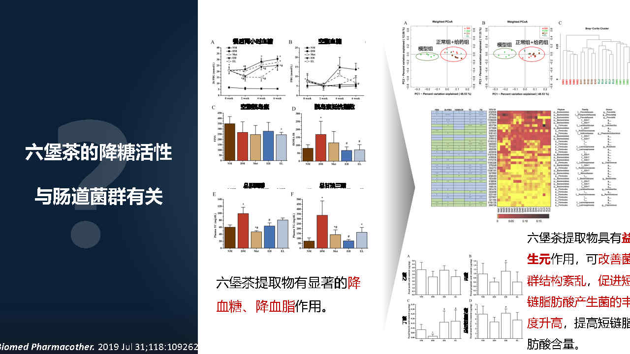 马百平：20分钟详解从有效成分到肠道菌群，中药如何突破？