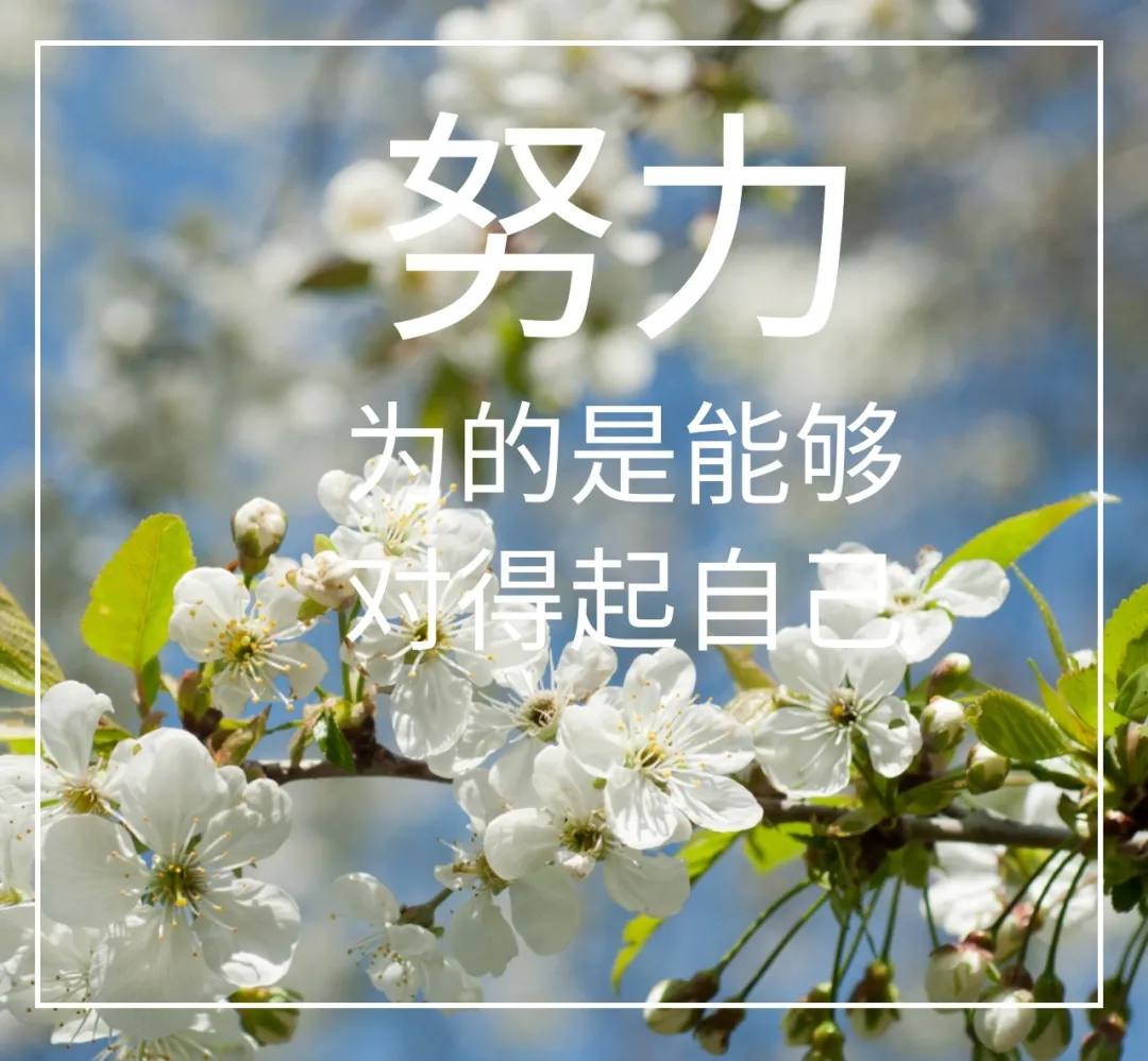 早安問候帶字動態表情圖片勵志向上的早安祝福語