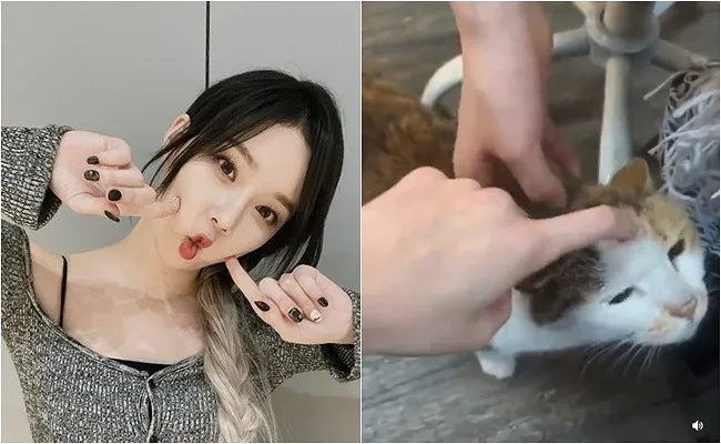aespa成员虐待动物再次发酵;少女时代徐贤“看不惯”TWICE志效?