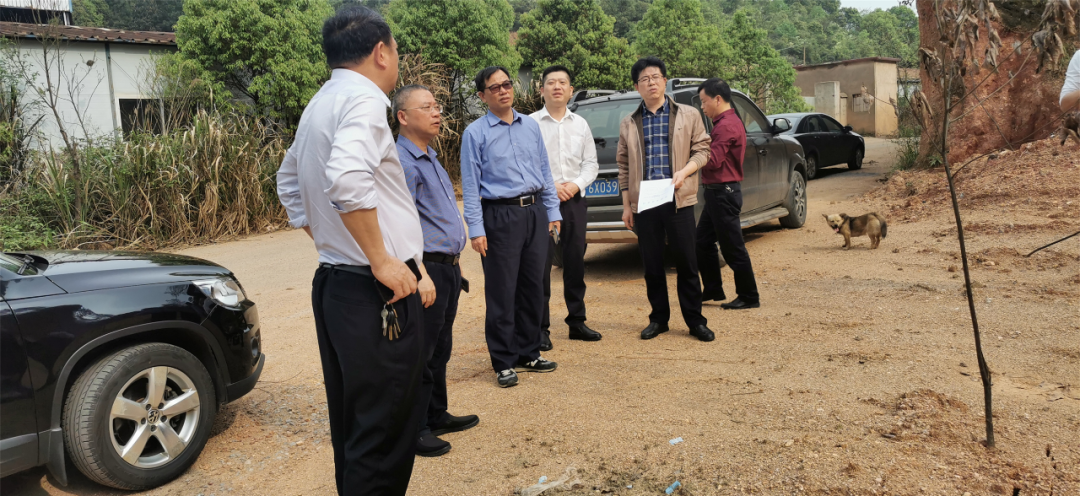 湘潭市林业局局长朱又红现场督查非法采砂整改情况