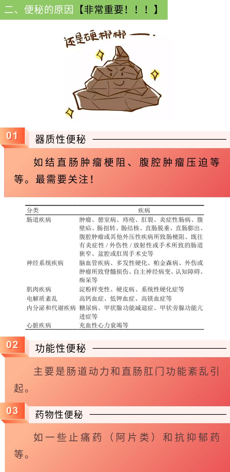 你今天大便了吗？